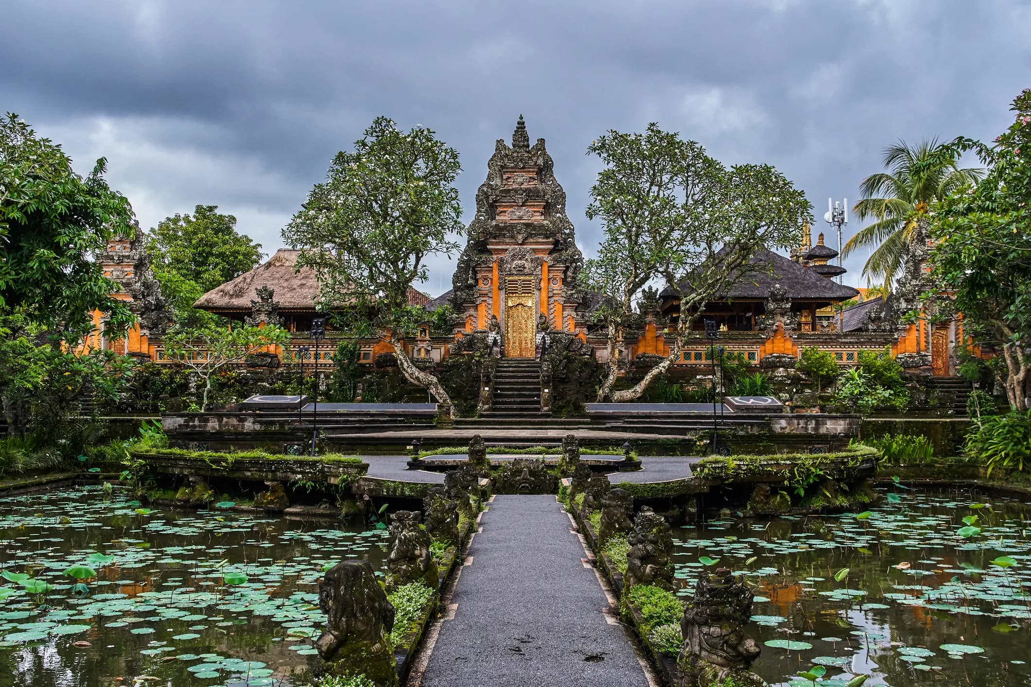 Private photoshoot in Ubud