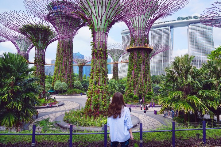 Woman viewing large, futuristic tree structures in a tropical garden.
