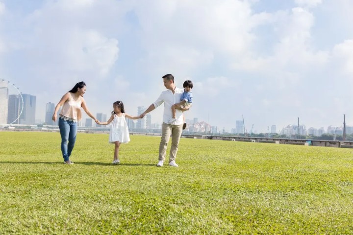 Family of four walking hand in hand on a grassy field with a city skyline in the background.